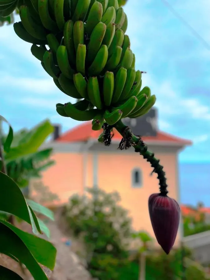 Villa Escola Da Bica Arco da Calheta  Holiday home Arco da Calheta (Madeira)