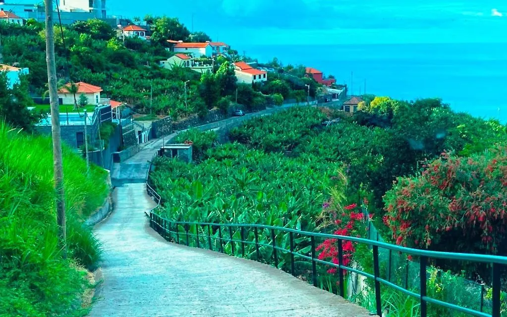 Villa Escola Da Bica Arco da Calheta  Portugal